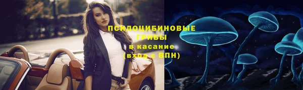 экстази Арсеньев